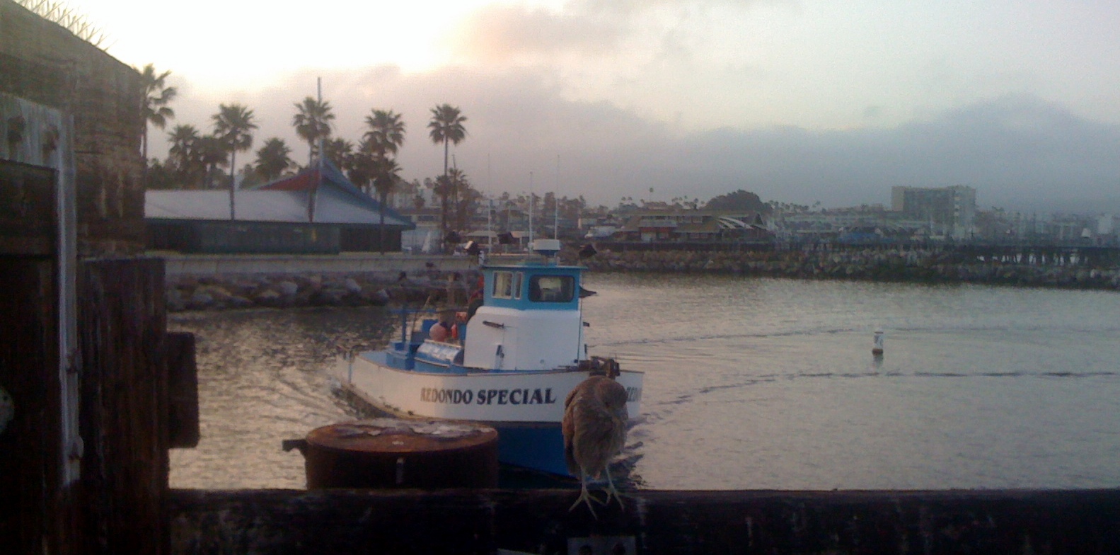 Mystery Boat...The Redondo Special